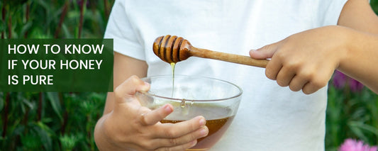 A Simple Guide for Everyday Buyers