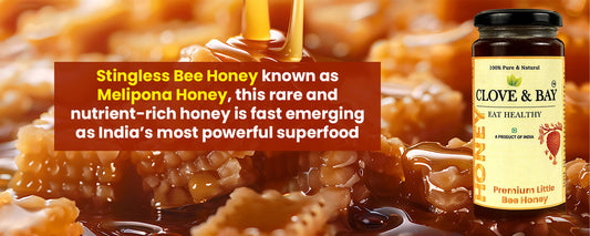 Why Stingless Bee Honey is India's Most Powerful Superfood