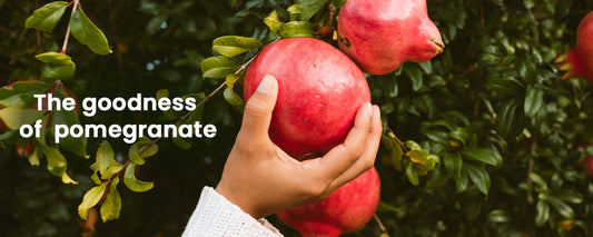 How to Use Pomegranate Luxe Honey in Your Morning Routine for Better Gut Health?