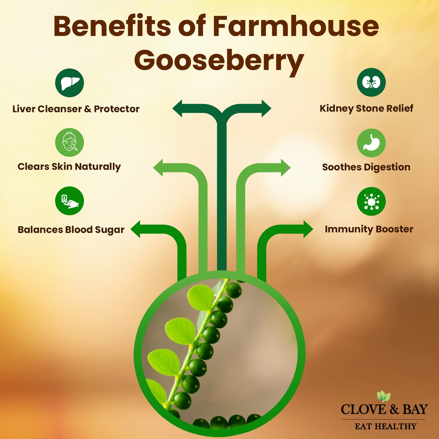 Diagram of farmhouse gooseberry benefits with green leaves and text on a brown background