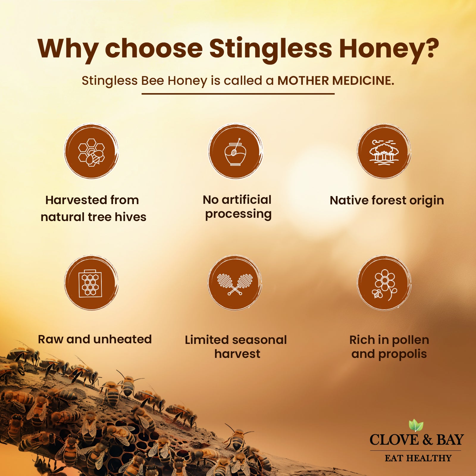 Infographic about Stingless Honey with icons and text on a warm background.